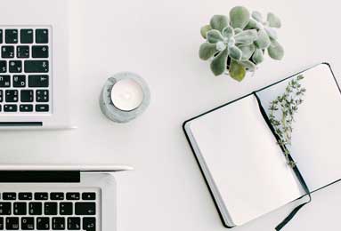 转会动态最新！布莱顿瞄准德甲猛将，红军热刺上演抢人大战